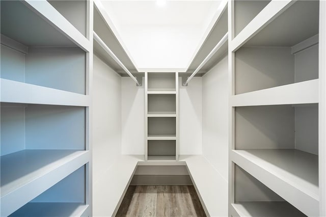 walk in closet with wood-type flooring