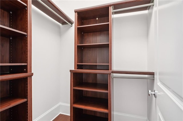 spacious closet with wood-type flooring