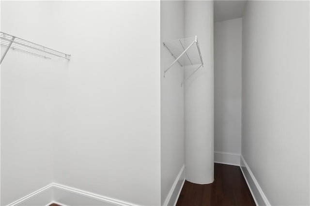 walk in closet with dark wood-type flooring