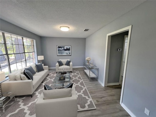 living room with a textured ceiling and wood-type flooring