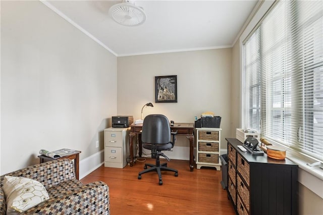 office space featuring crown molding and hardwood / wood-style floors