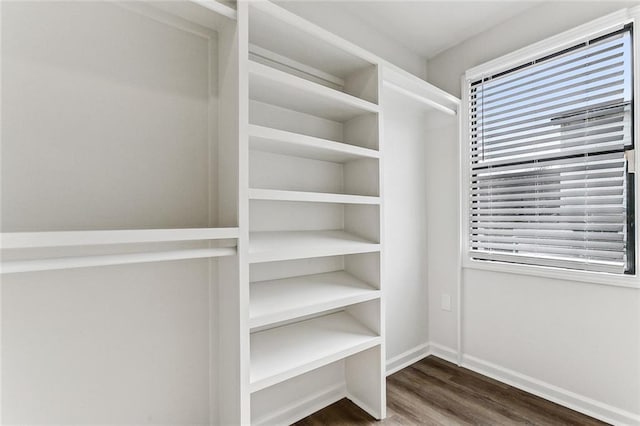 spacious closet with dark hardwood / wood-style floors