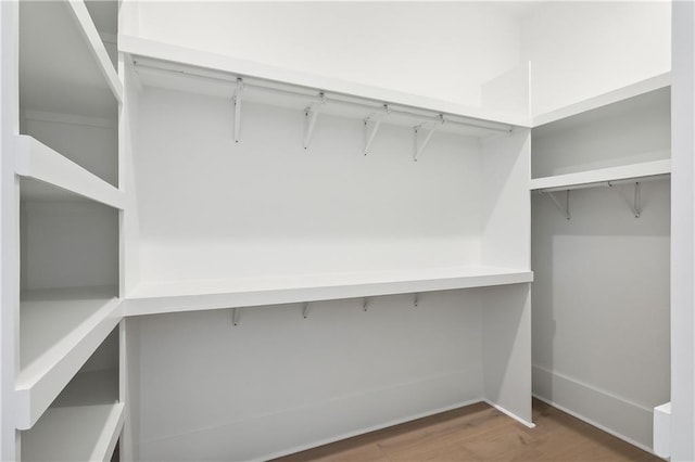 spacious closet featuring dark hardwood / wood-style flooring