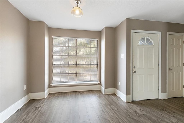 foyer with hardwood / wood-style flooring