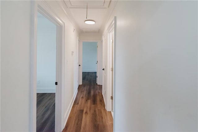 hall featuring dark hardwood / wood-style floors