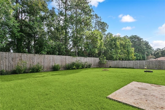 view of yard with a patio area and a fenced backyard