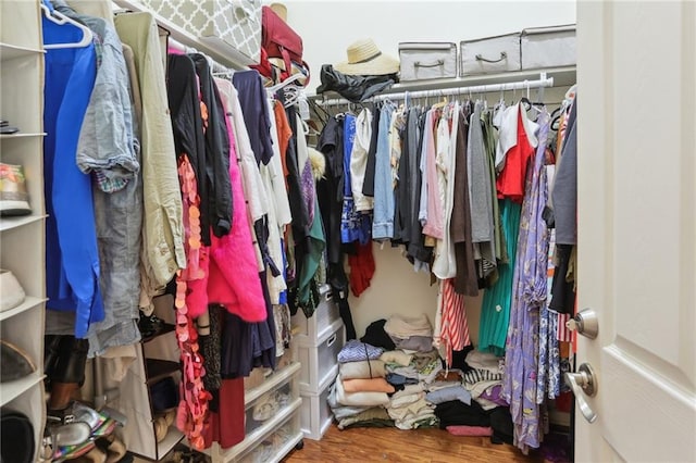 walk in closet with hardwood / wood-style flooring