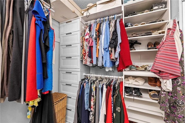 view of spacious closet