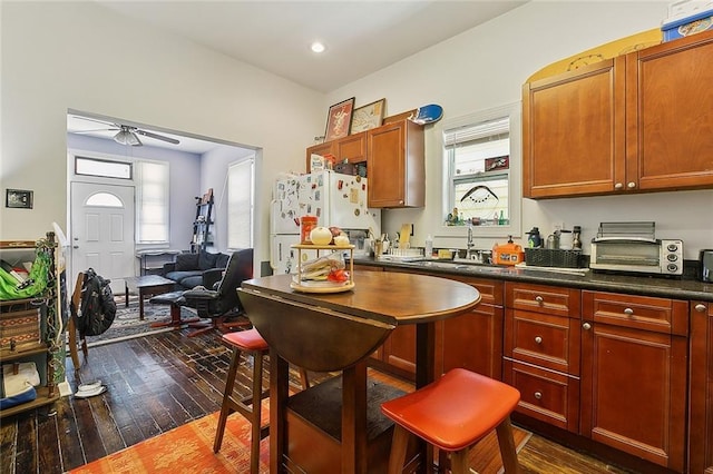 kitchen with sink, dark hardwood / wood-style floors, ceiling fan, and white refrigerator