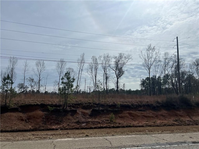 16 Highway, Amite LA, 70422 land for sale