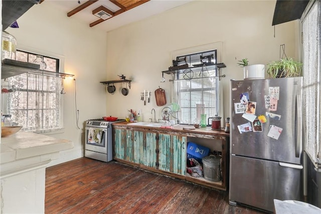 kitchen with dark hardwood / wood-style flooring, sink, and stainless steel appliances