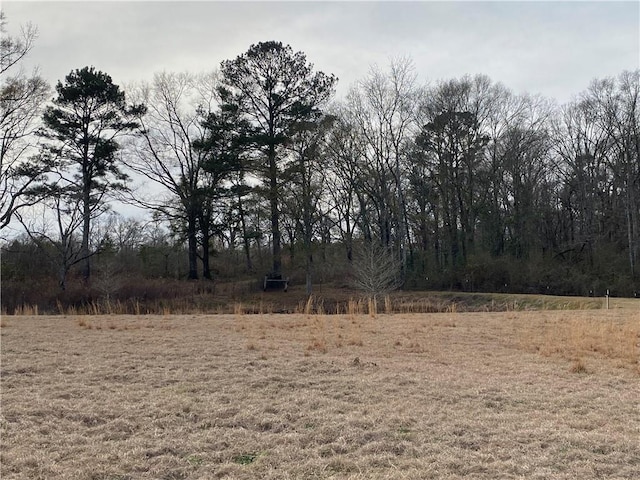 68443 S River Rd, Kentwood, LA 70444 - view of nature