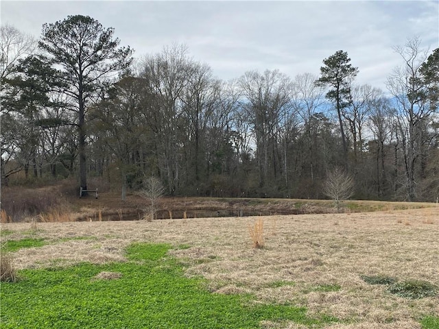 68443 S River Rd, Kentwood, LA 70444 - view of yard