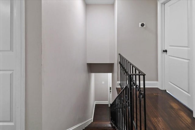 stairway with hardwood / wood-style flooring