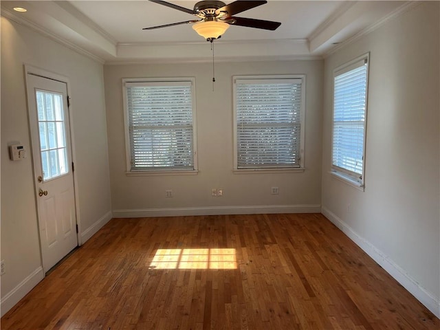 spare room featuring crown molding, a raised ceiling, and a healthy amount of sunlight