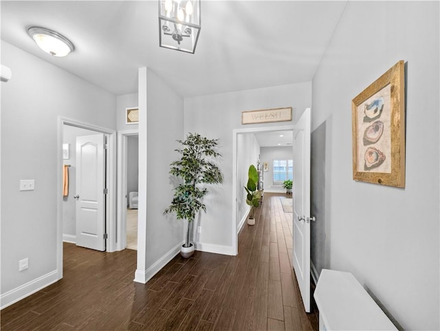 hall featuring dark wood-type flooring