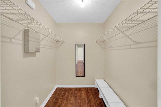 walk in closet featuring dark wood-type flooring