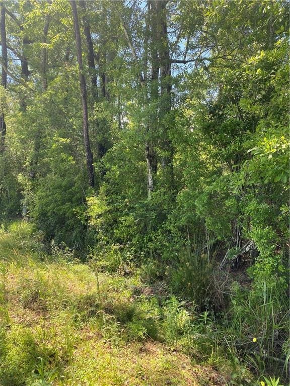 Faller Rd, Tickfaw, LA 70466 - photo 1