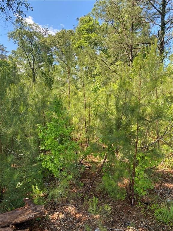 Faller Rd, Tickfaw, LA 70466 - photo 3