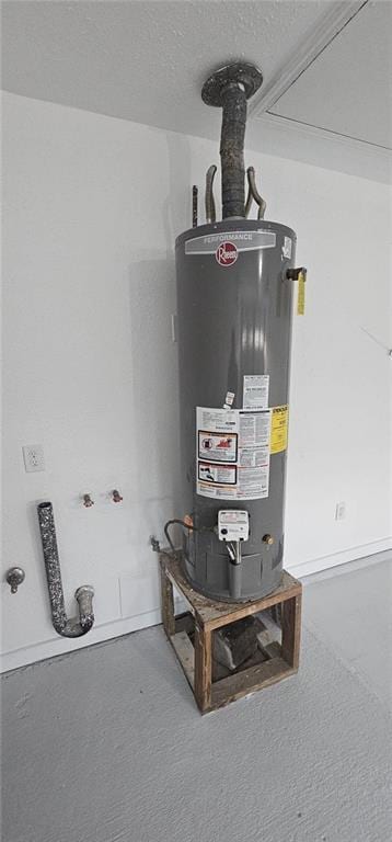 utility room with gas water heater