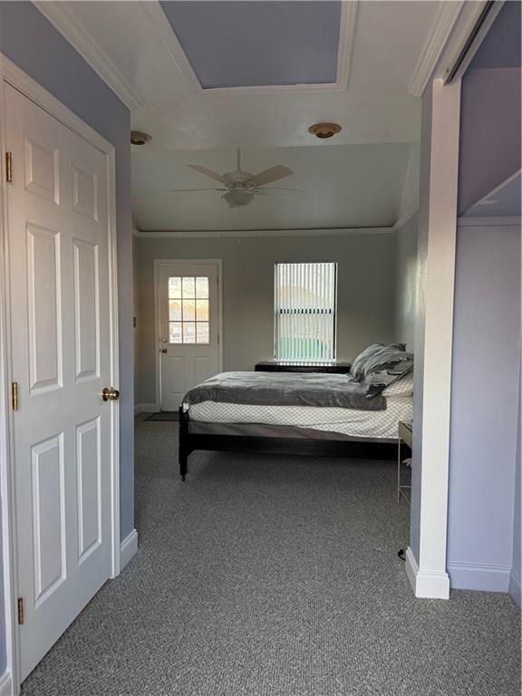 bedroom featuring crown molding, ceiling fan, and carpet floors