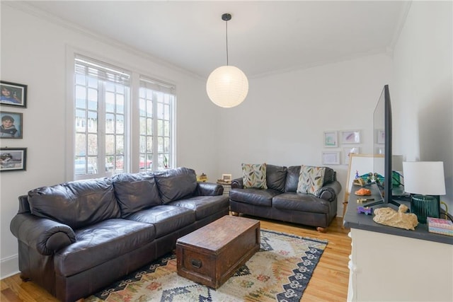 living room featuring crown molding and light hardwood / wood-style flooring