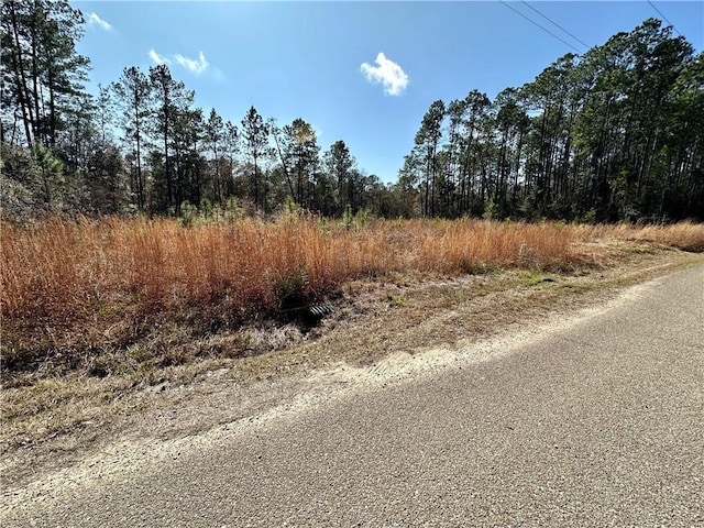 Listing photo 3 for LOT56A Quimet Dr, Abita Springs LA 70420