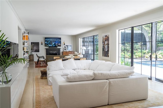 living room with crown molding, a wealth of natural light, and light wood-type flooring