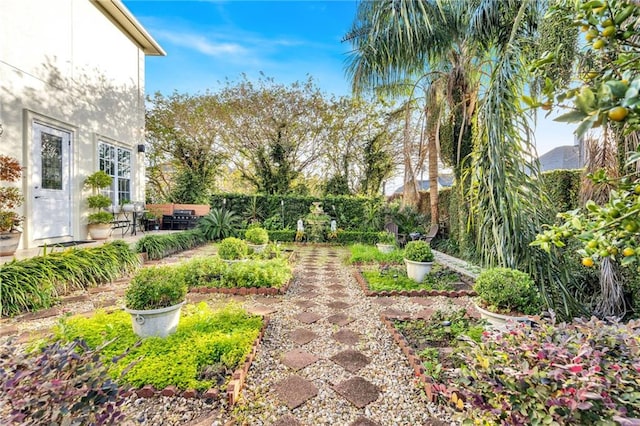 view of yard with a patio area