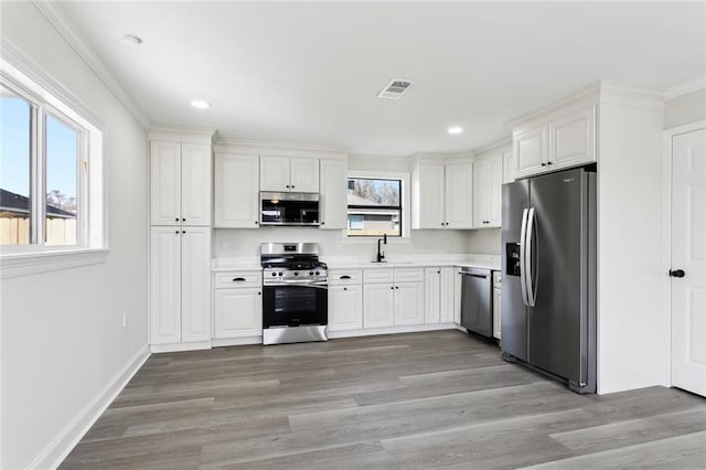 kitchen featuring white cabinetry, stainless steel appliances, sink, and a wealth of natural light