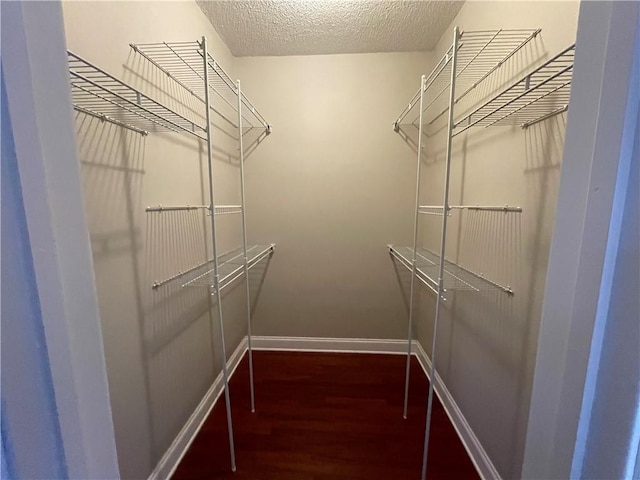 spacious closet featuring hardwood / wood-style flooring