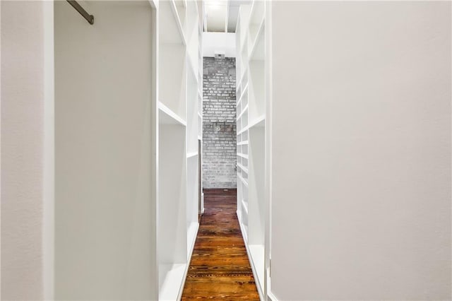 spacious closet featuring dark hardwood / wood-style floors