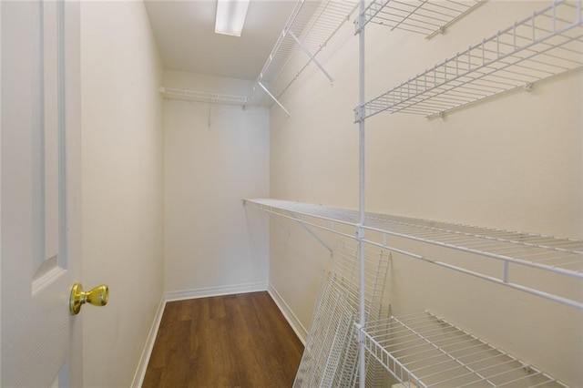 walk in closet featuring dark wood-type flooring