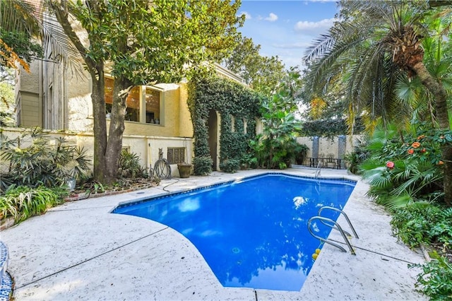 view of swimming pool with a patio area