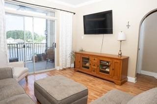 living room featuring light hardwood / wood-style floors