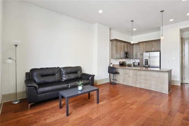 living room with dark hardwood / wood-style floors