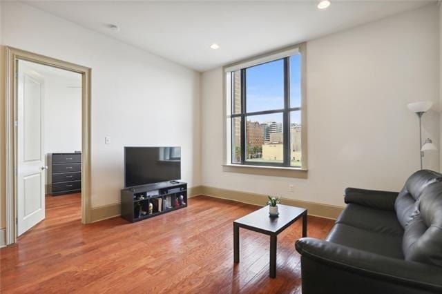 living room featuring hardwood / wood-style floors