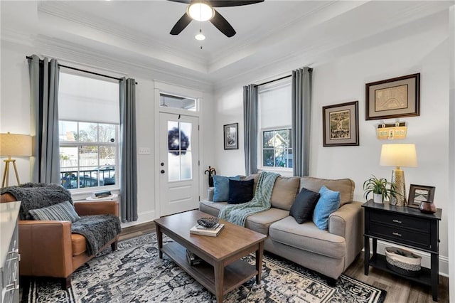 living room with a raised ceiling, crown molding, hardwood / wood-style floors, and ceiling fan