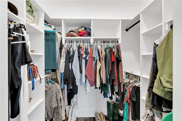 walk in closet featuring wood finished floors