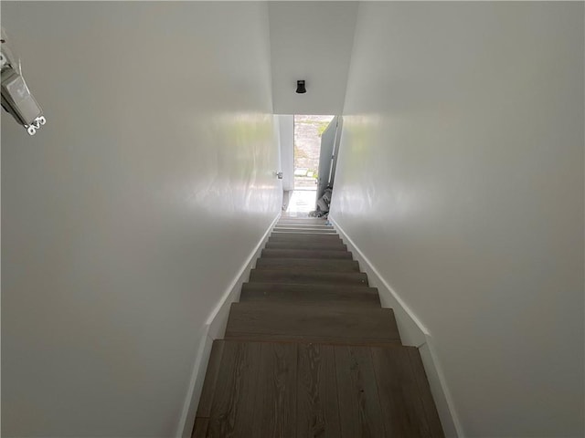 stairway with hardwood / wood-style flooring