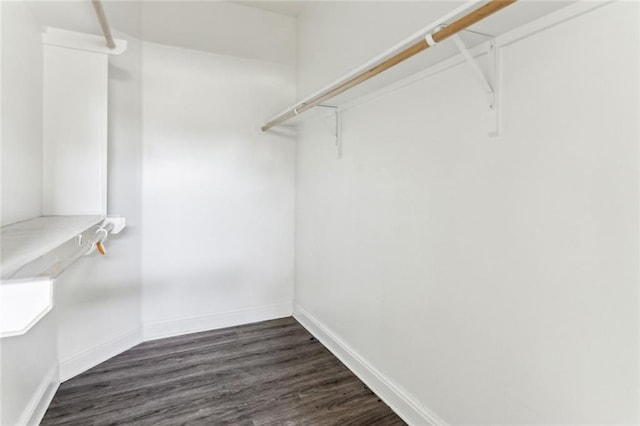 spacious closet with dark wood-type flooring