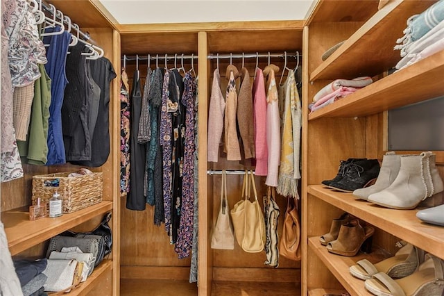 view of walk in closet