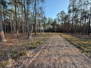 23523 Long Branch Dr, Abita Springs LA, 70420 land for sale