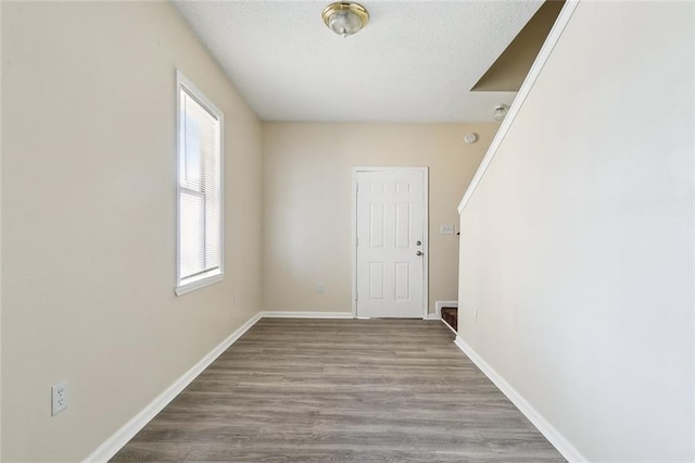 interior space featuring wood-type flooring