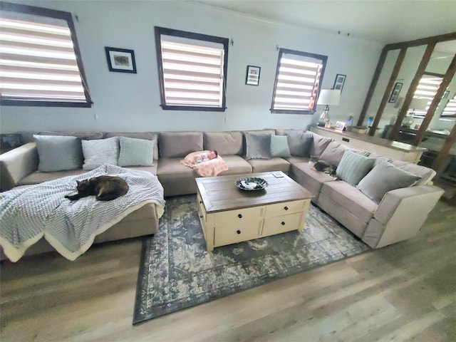 living room with hardwood / wood-style floors