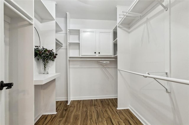 walk in closet featuring dark hardwood / wood-style floors