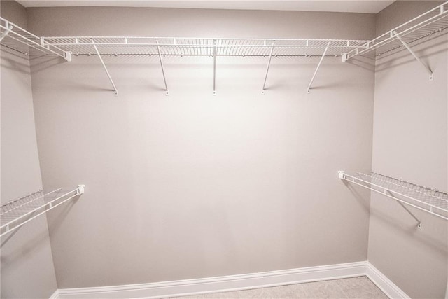 view of walk in closet