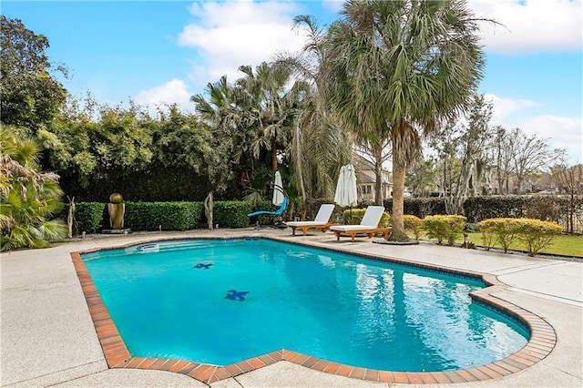 view of pool featuring a patio