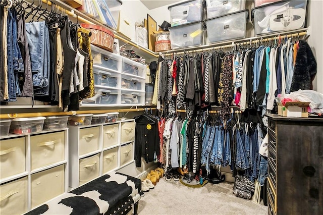 walk in closet featuring carpet flooring