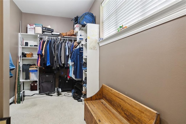 view of walk in closet